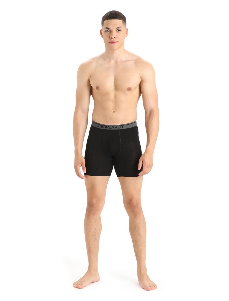 Black Icebreaker Merino Anatomica Long Boxers Men's Underwear | AU 1285TCEV